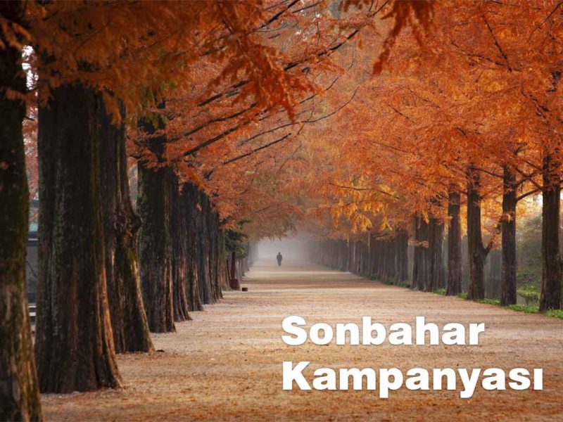 Ergonomik Kanguru Sonbahar Kampanyası